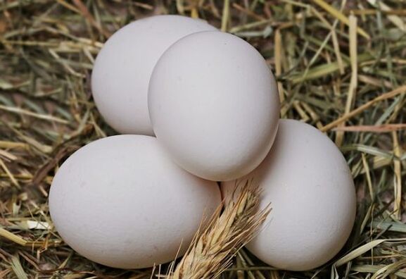 The egg diet involves the daily consumption of chicken eggs. 