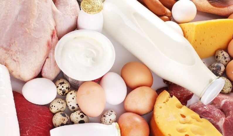 protein foods for diet